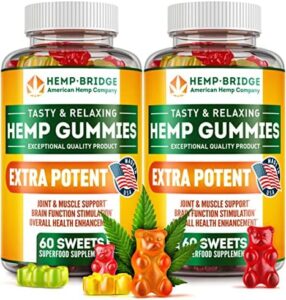 HEMPBRIDGE Pack of 2 Hemp Gummies – Produced in United states – Safe and Organic Omega 3 Nutritional supplement with Hemp Oil for Agony and Irritation Relief – Max Benefit in Every Gummy – Nutritional vitamins B & E and Omega 3, 6, 9